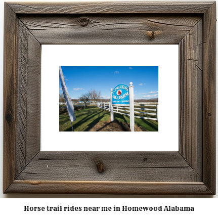 horse trail rides near me in Homewood, Alabama